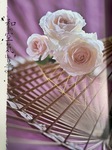 C4E50A89-D9FA-4CA5-8C92-EBCCFB354B76.jpg