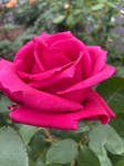LINE_ALBUM_2023.4.29_230429_29.jpg