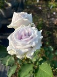 LINE_ALBUM_2023517_230517_17.jpg