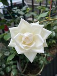 LINE_ALBUM_2023517_230517_7.jpg