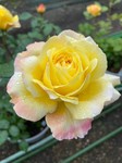 LINE_ALBUM_[YM[_230426_64.jpg
